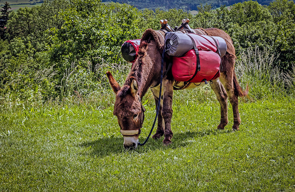 5 migliori sentieri di trekking percorsi